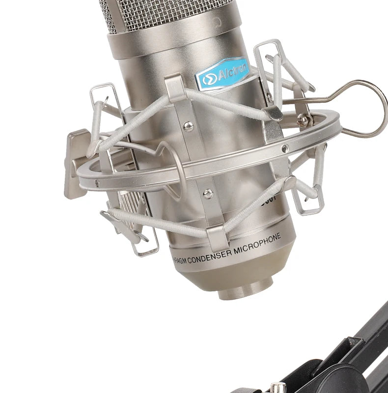 Gold-Plated Professional Mic