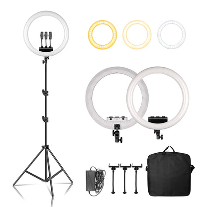 Creators Cam Models Lights