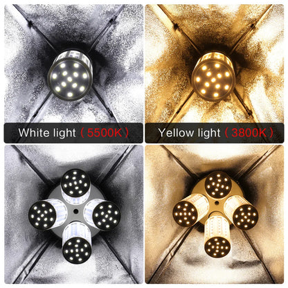 Professional Portrait Softbox