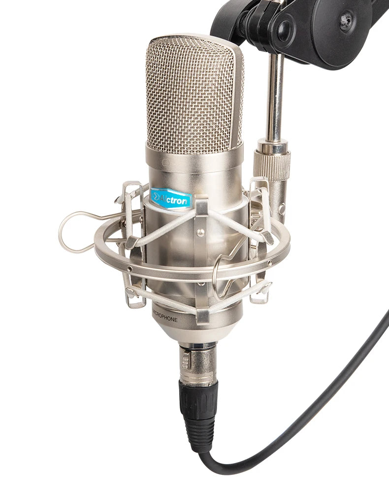 Gold-Plated Professional Mic