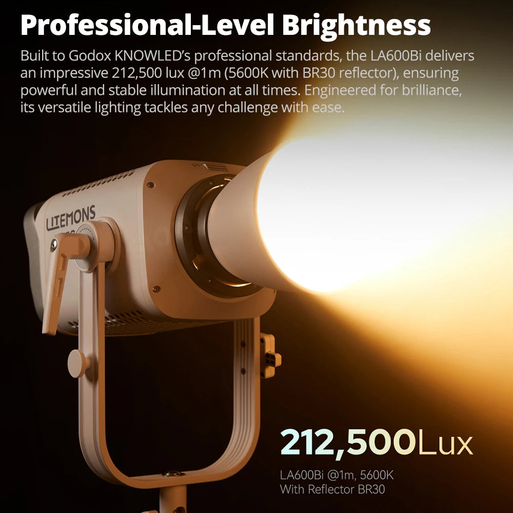 Professional Photographic COB Light