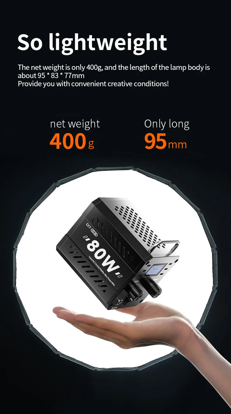 Professional 80W COB LED Light
