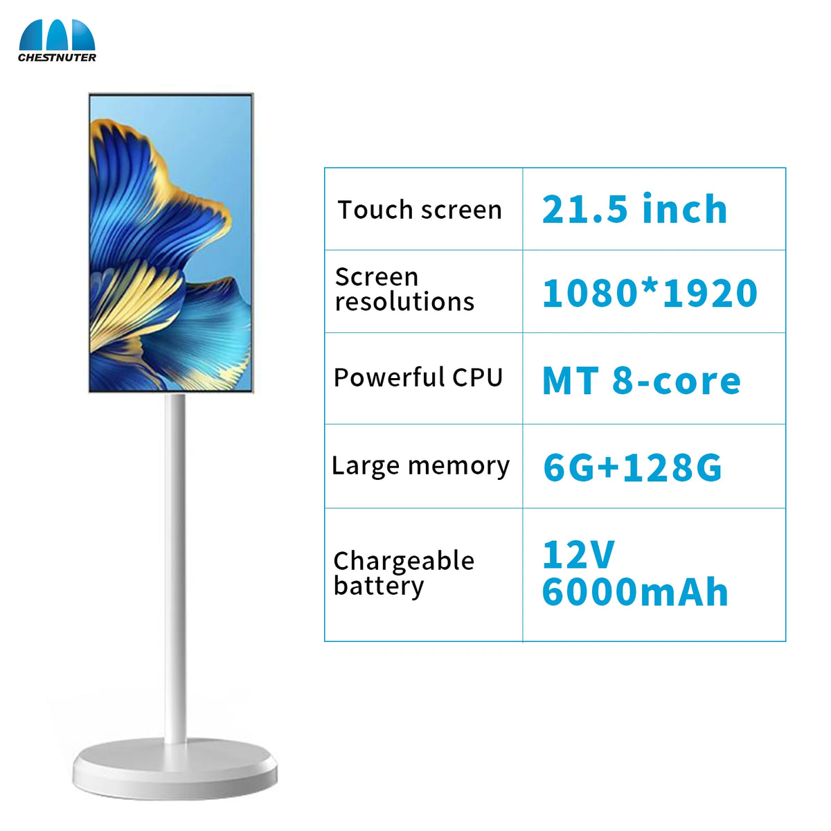 Eye-Care Anti-Blue Light Display