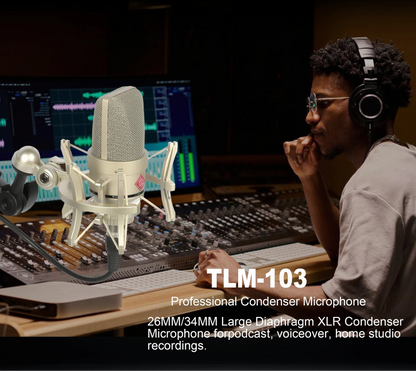 Professional Audio Recording Microphone