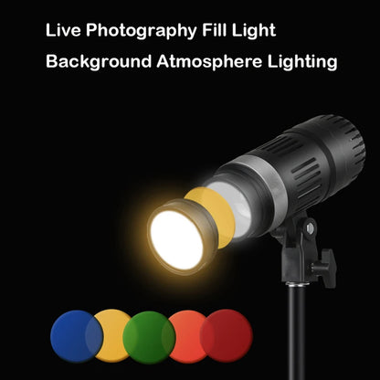 Daylight-Balanced LED Fill Light