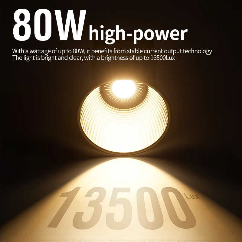 Professional 80W COB LED Light