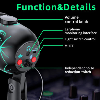 Studio Design Mic