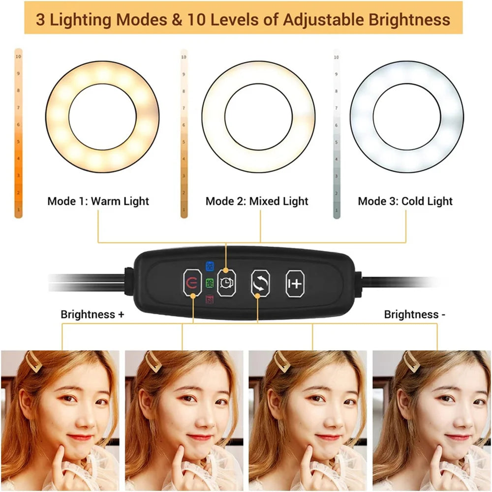 Modern Style Dual LED Broadcasts Light