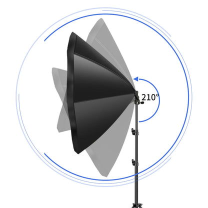Professional Portrait Softbox