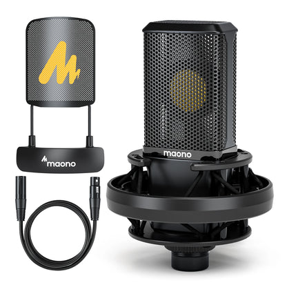 Professional Pro Mic