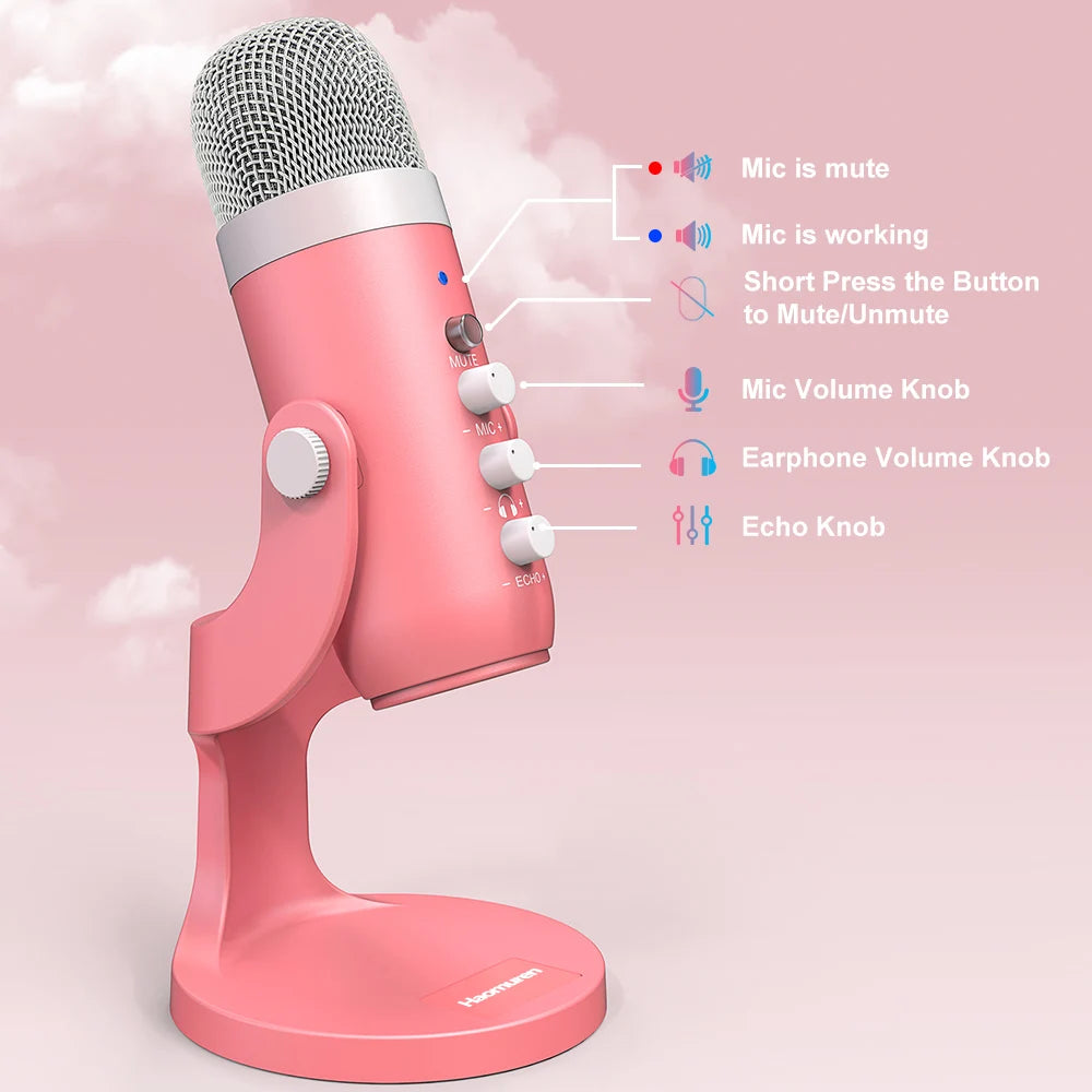 Flexible Studio Recording Kit