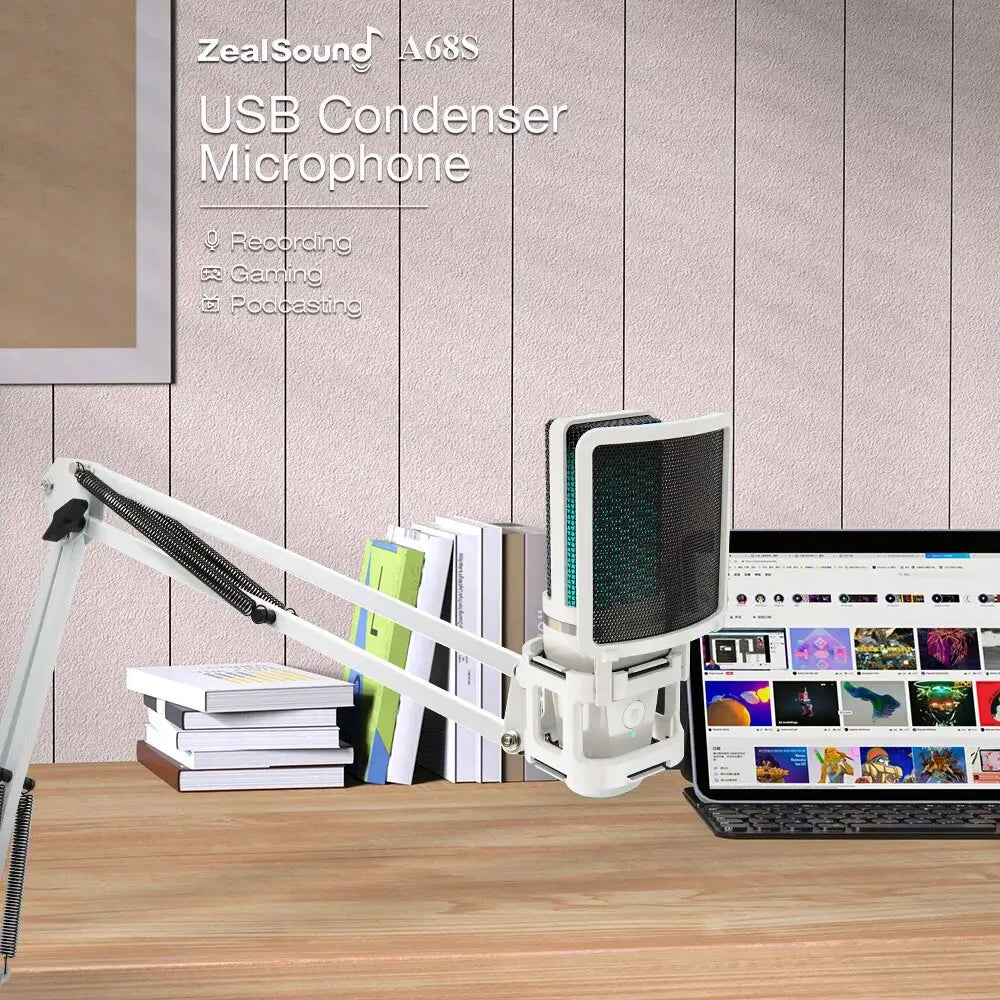 Flexible Boom Arm Mic