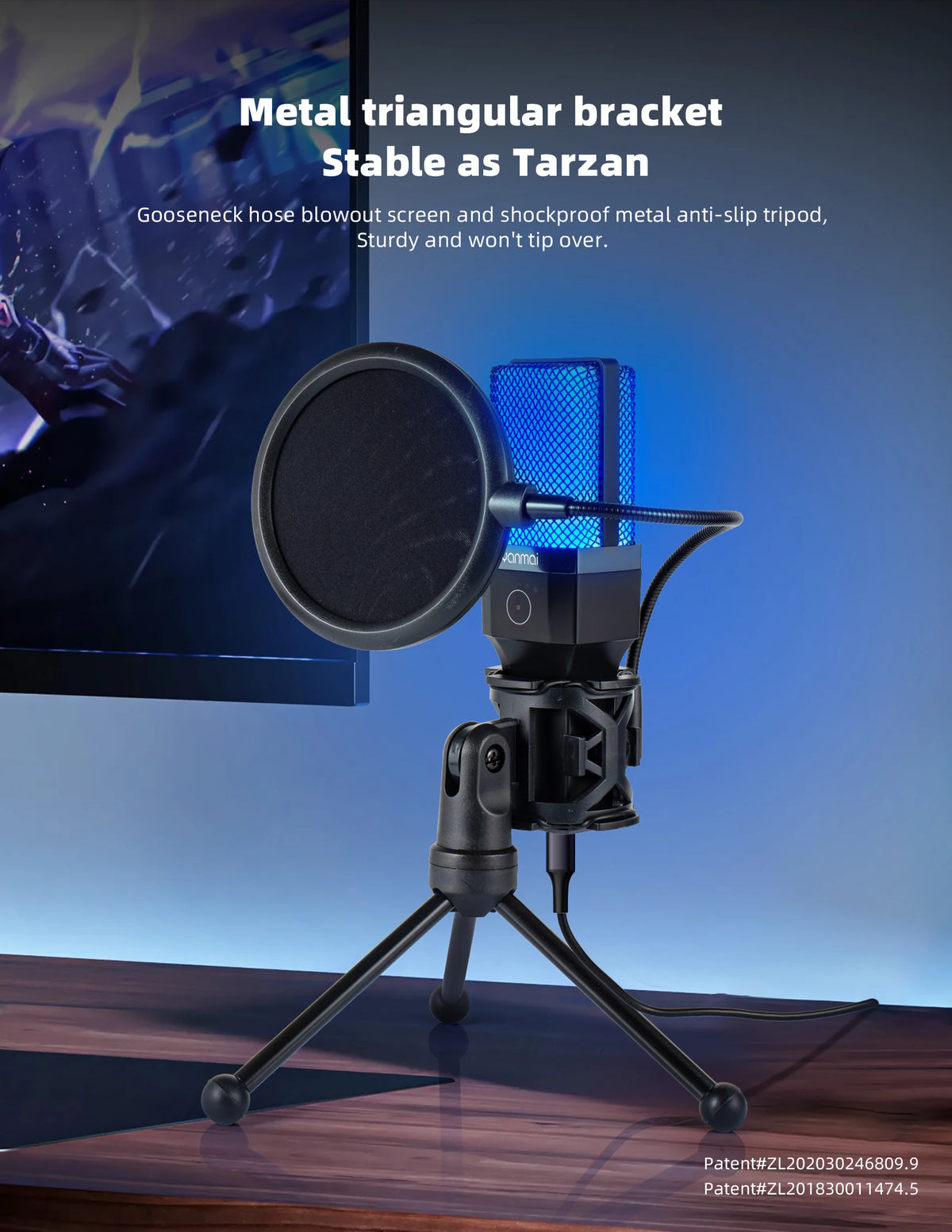 Professional Studio Mic Kit