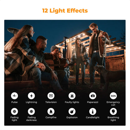2 Light Effects COB Video Light