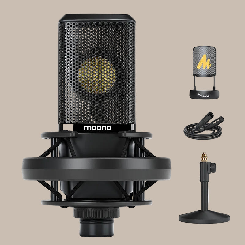 Professional Pro Mic
