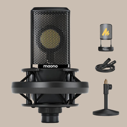 Professional Pro Mic