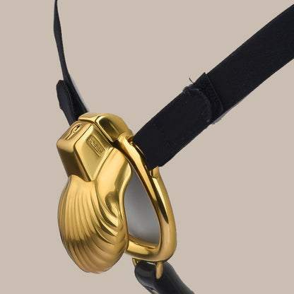 Golden Birdcage Chastity Lock