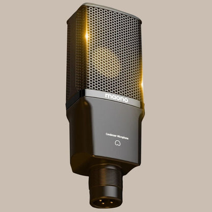 Pro Professional Microphone