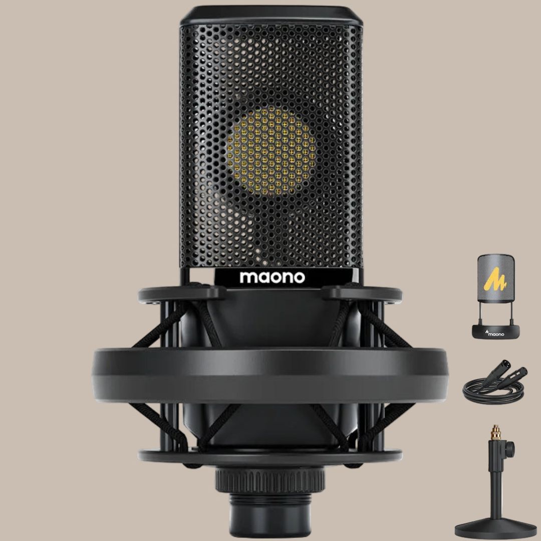 Professional Pro Mic