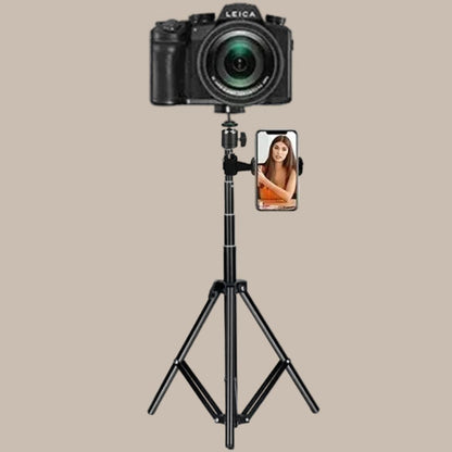 Creator Aura Engine Light Tripod
