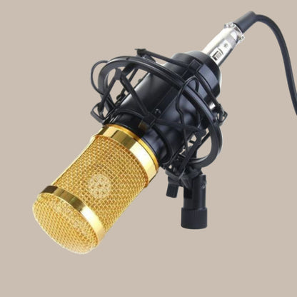 Pro Streaming USB Mic