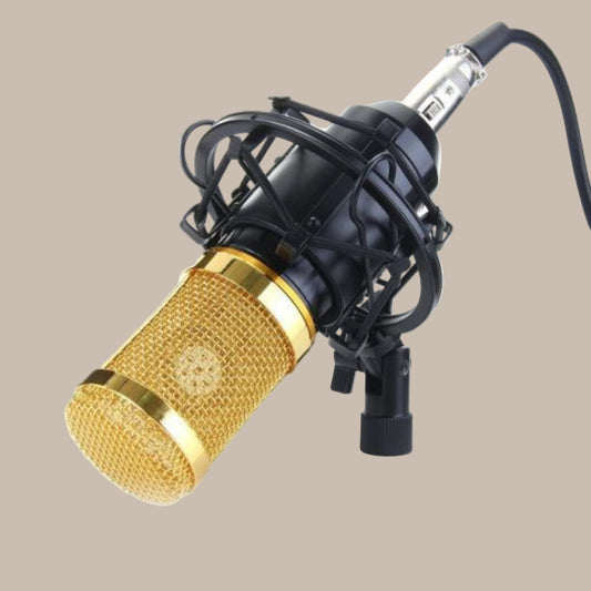 Pro Streaming USB Mic
