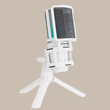 Professional Flexible Mic