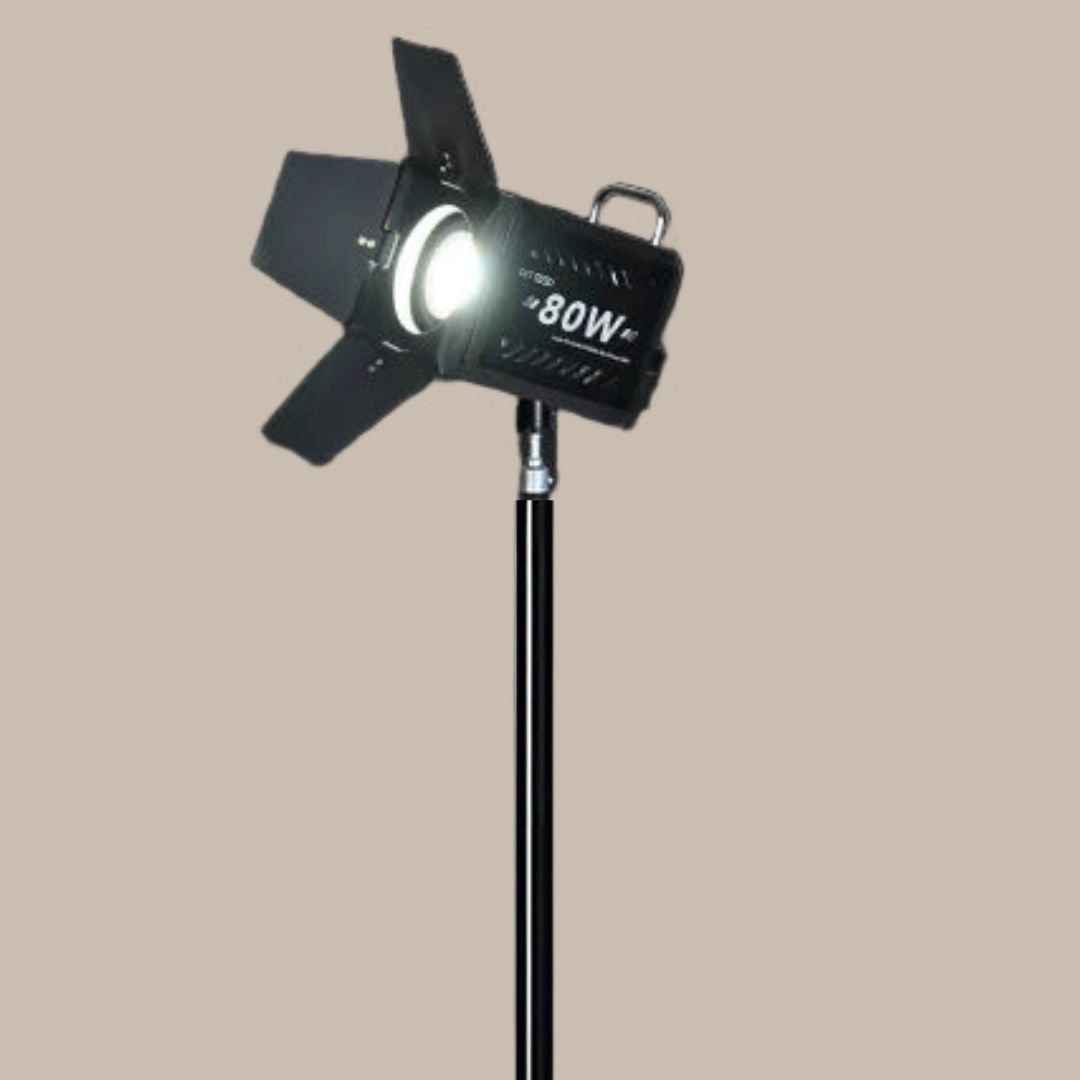 Professional 80W COB LED Light