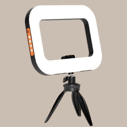 Professional Vlogging Lighting Setup