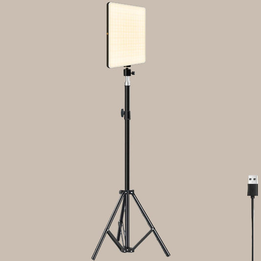 Live Streaming LED Light