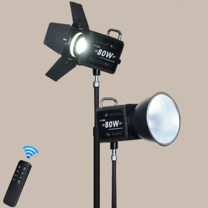 Professional 80W COB LED Light