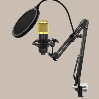 Crystal Clear Sound for Live Creators