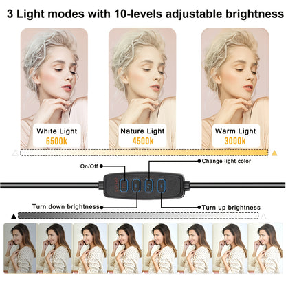 Online Creator & Influencer Lighting