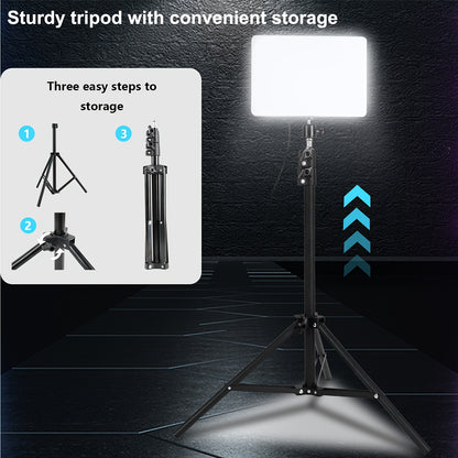 Online Creator & Influencer Lighting