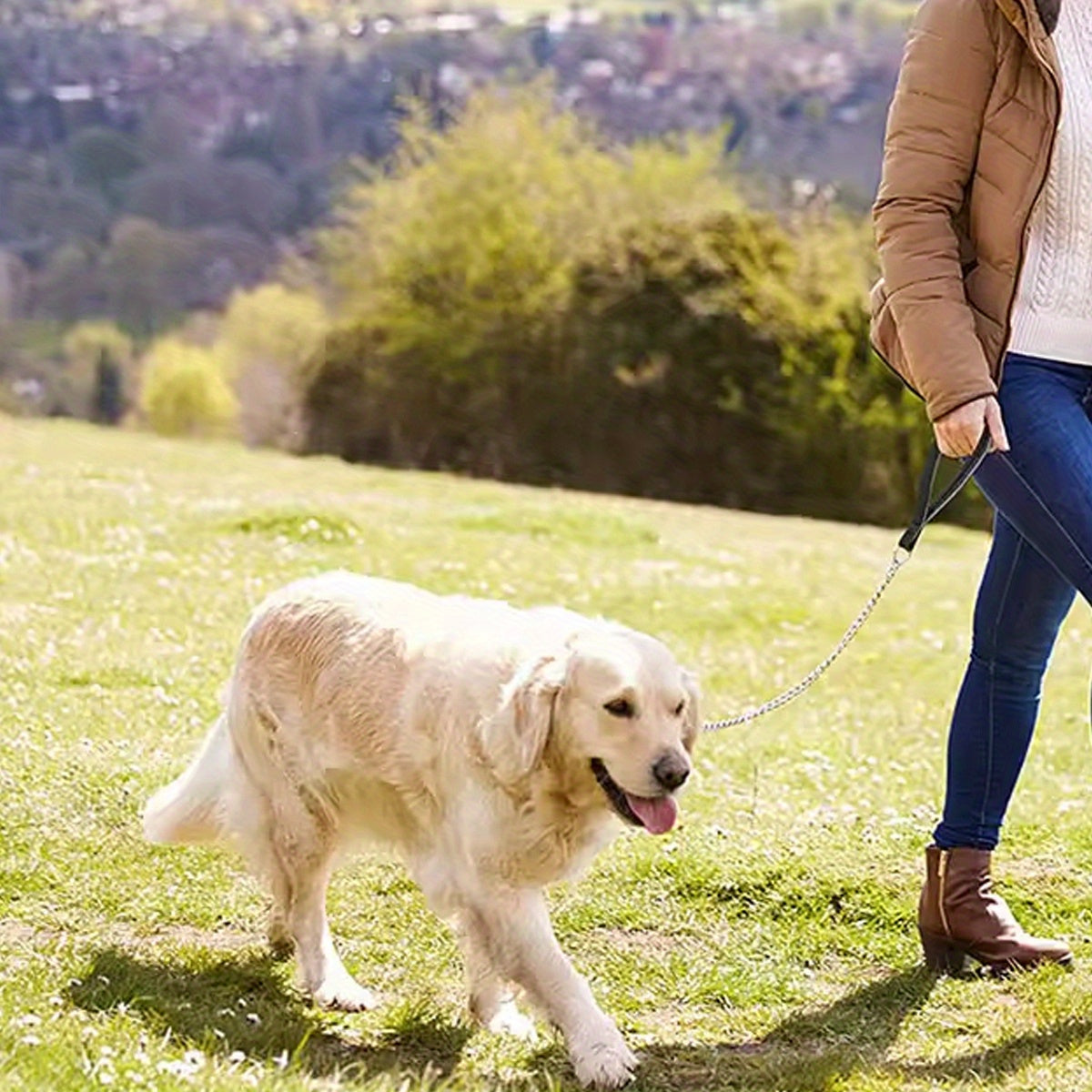 1pc - 120cm Heavy-Duty Anti-Bite Giant Leash with Handle for Dogs - Durable Stainless Steel Metal, Chew-Resistant, Ideal for Outdoor Training and Park Activities, Park Activities|Giant Leash|Chewresistant Leash, Dog Leash for