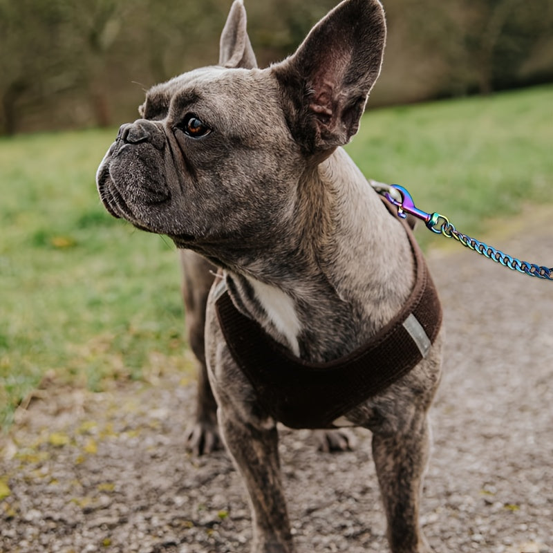 Vibrant Rainbow Stainless Steel Dog Leash with Comfort Grip Handle - 1.2cm Wide, Durable Training Lead for Pets, Iridescent Chain Link Design in Pink, Blue, Green, Yellow, Orange, Purple & White, Pet Walking Gear, Sturdy Clas