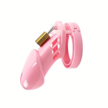 Roleplay & Discipline Chastity Cage