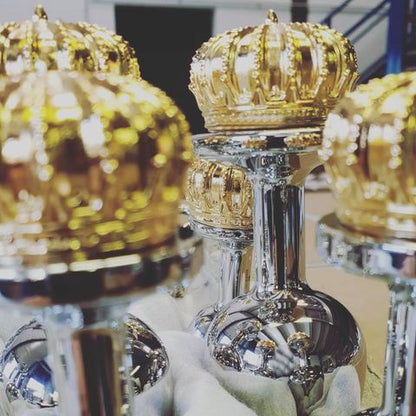 The Royal Gold Crown Anal Plug