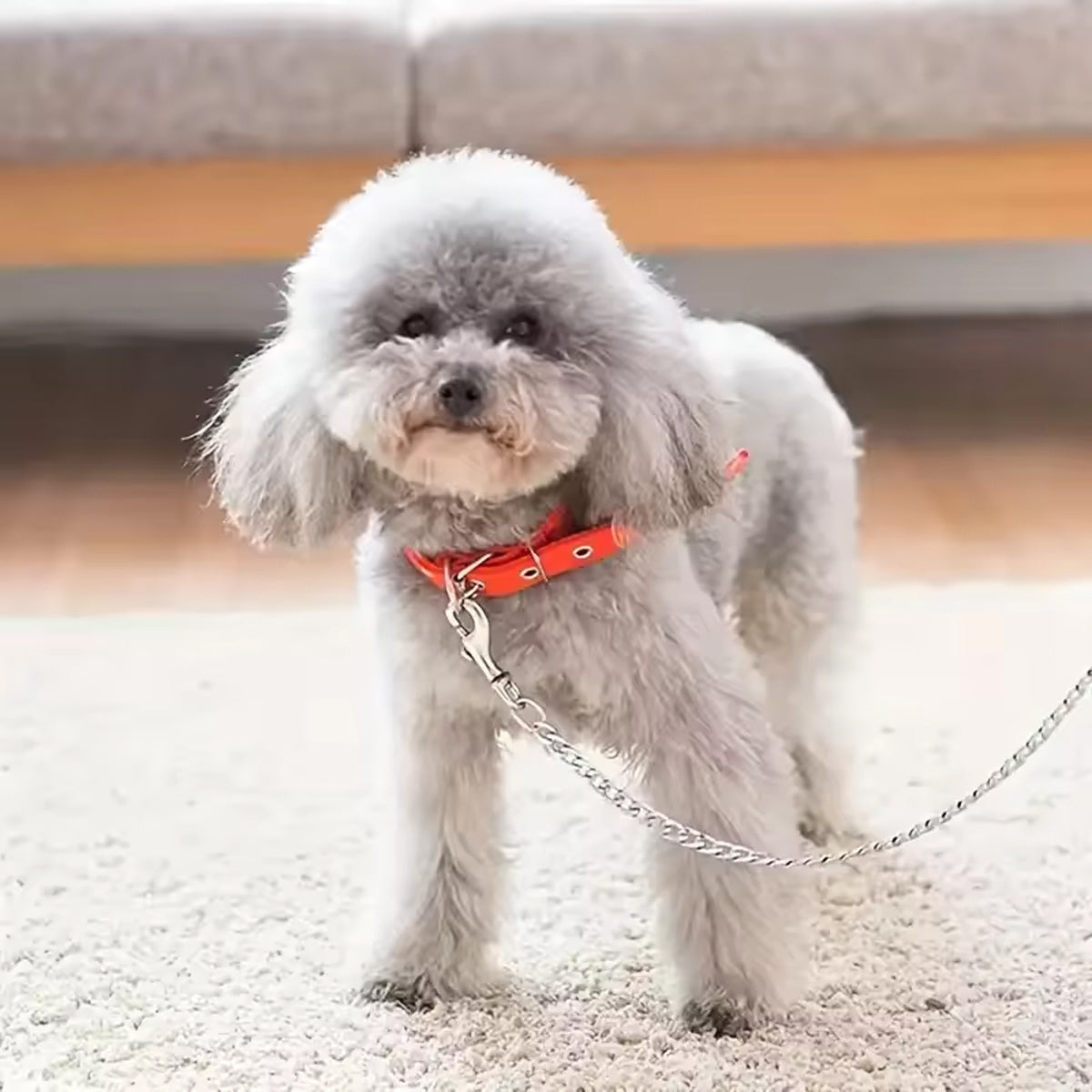1pc - 120cm Heavy-Duty Anti-Bite Giant Leash with Handle for Dogs - Durable Stainless Steel Metal, Chew-Resistant, Ideal for Outdoor Training and Park Activities, Park Activities|Giant Leash|Chewresistant Leash, Dog Leash for