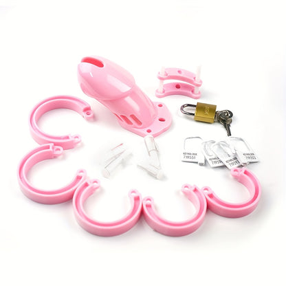 Roleplay & Discipline Chastity Cage