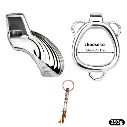 Control & Obedience Metal Chastity